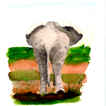 Afrikanischer Elefant von hinten